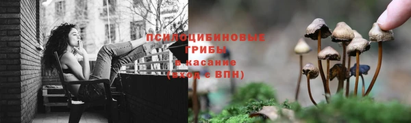 мяу мяу мука Надым