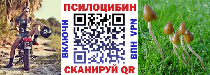 Псилоцибиновые грибы ЛСД  даркнет сайт  Салехард 